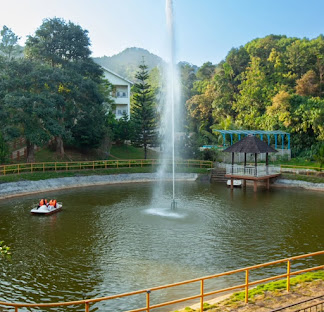 Hotel Broadbean Munnar