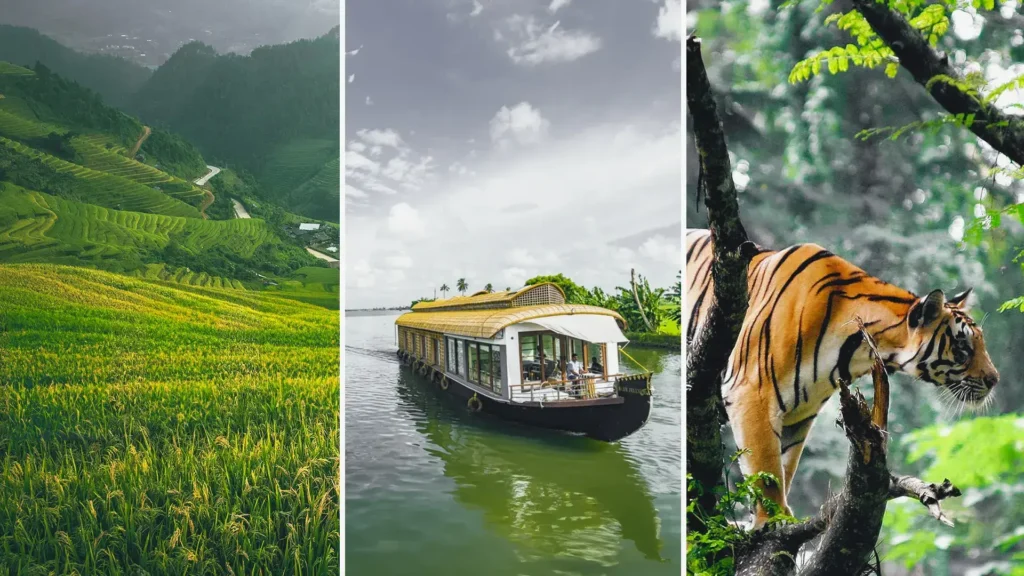 munnar thekkady alleppey