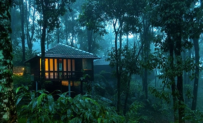 Wayanad hill station image