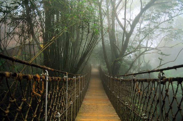 Wayanad hill station
