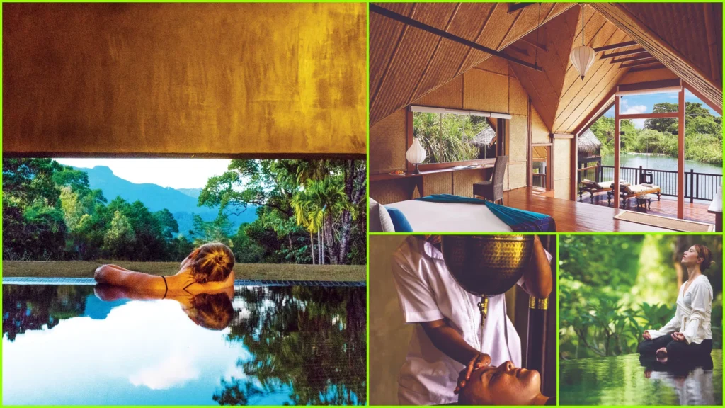 Wellness & Medical Tourism