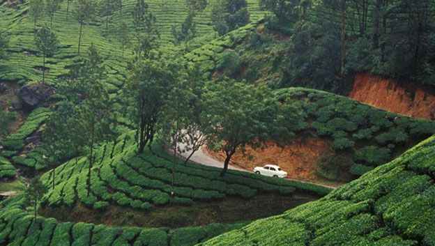 munnar