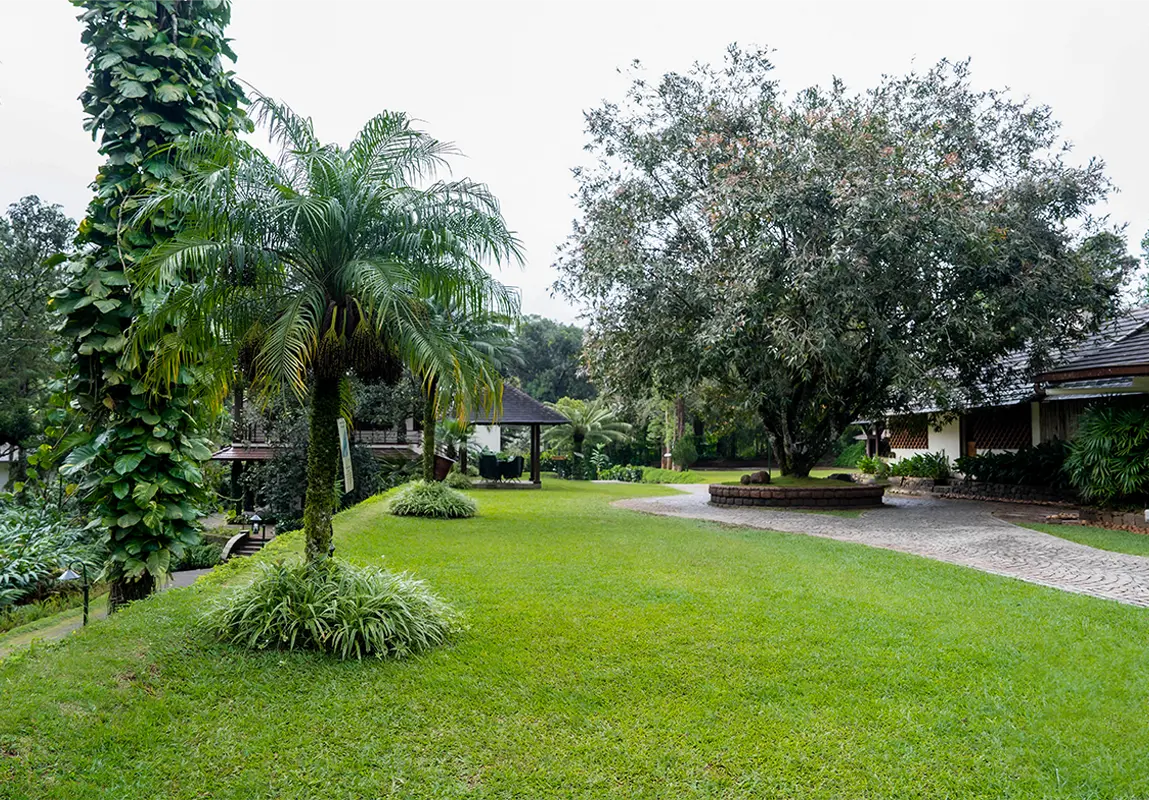 Hotel Carmelia haven vandanmedu image