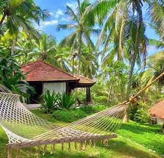 Hotel Niraamaya retreat surya samudra kovalam image