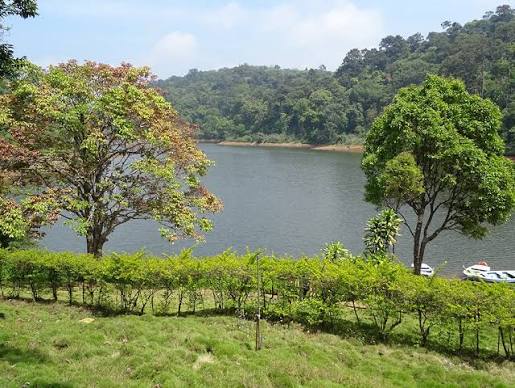 Destination Gavi wildlife image