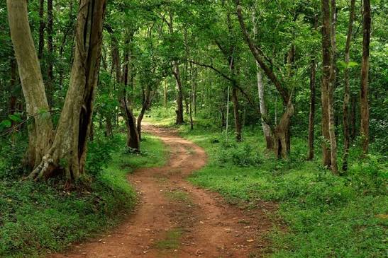 Destination Konni image