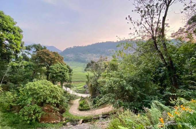 Destination Mankulam image